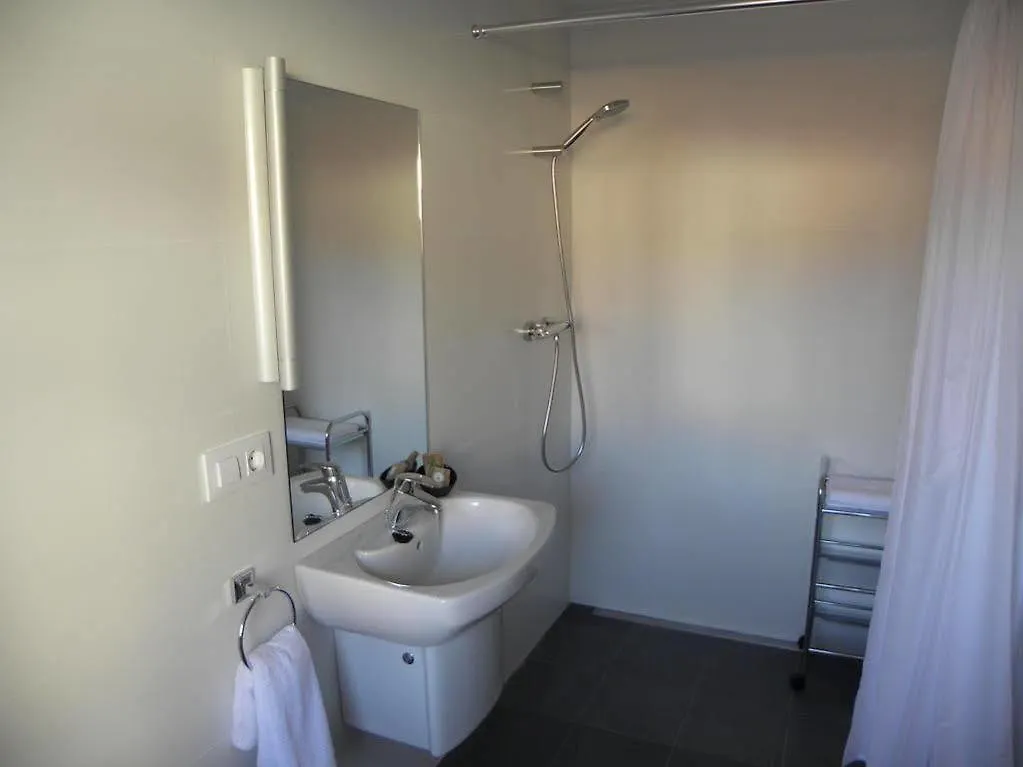 Apartaments I Habitacions Can Morera Olot 0*,